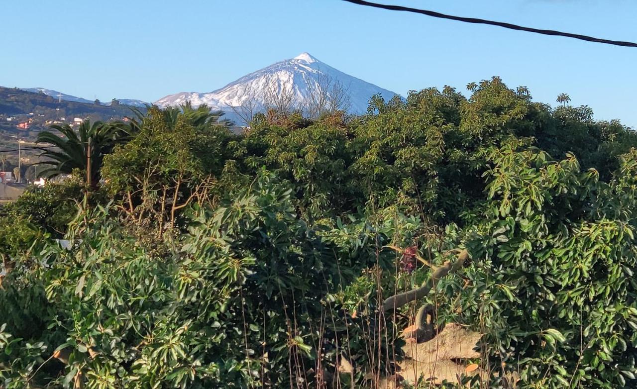 Finca El Trazo Tacoronte Exterior foto